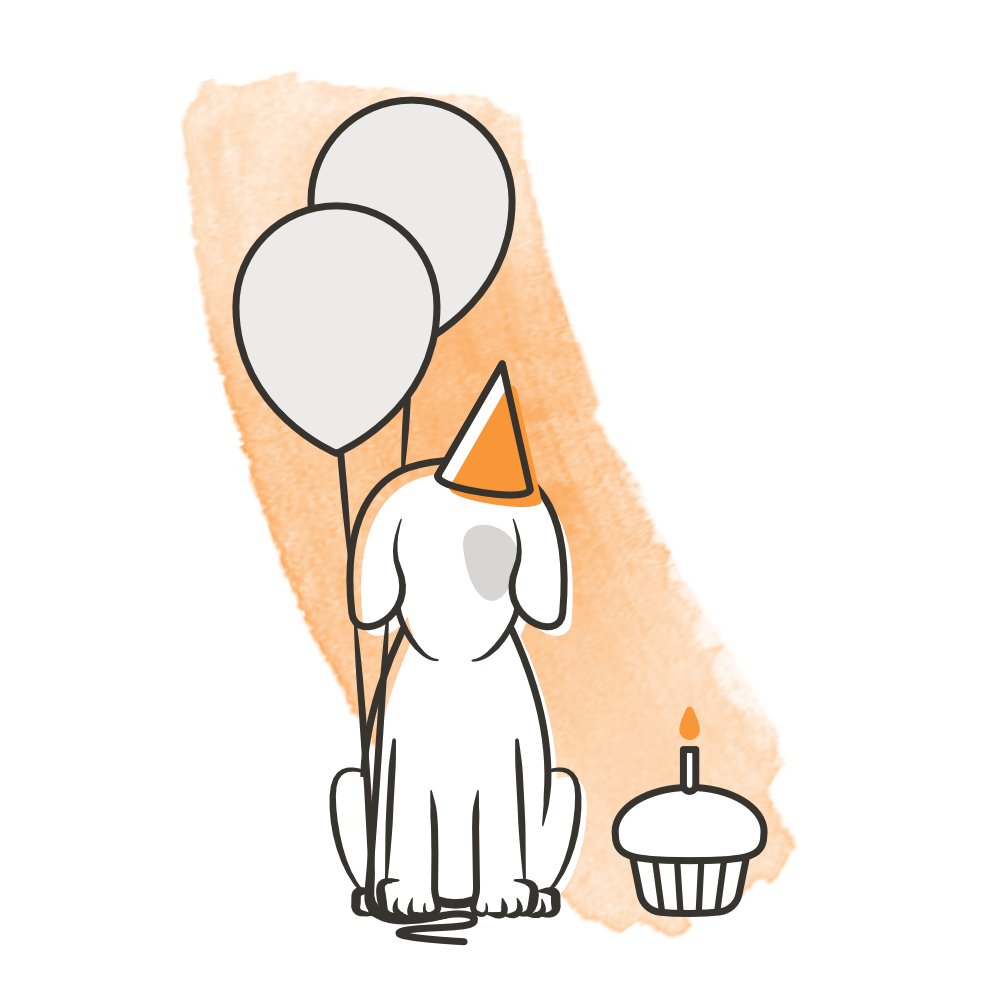 Once your pup has grown into a special little (or big) companion, we'll still be here for you! Our boxes are suitable for all dogs and all breeds ✅