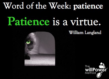 willPowerMethod's tweet image. Word of the Week - patience buff.ly/2E32cnz