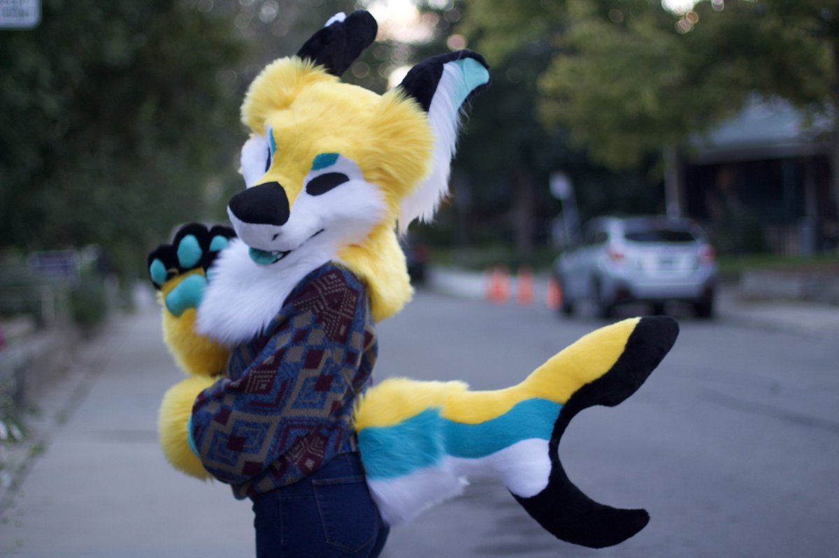 manokit fursuit tail the accounting cover letter.