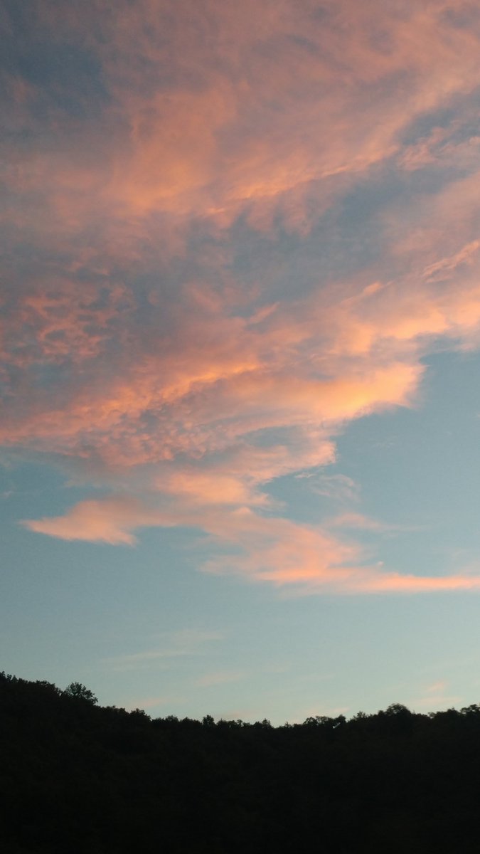 SeamlessExperts's tweet photo. The fog has lifted and we have beautiful cotton candy clouds again. This is your last day to make it to Farm Fest. https://t.co/pFZtCGcmNU