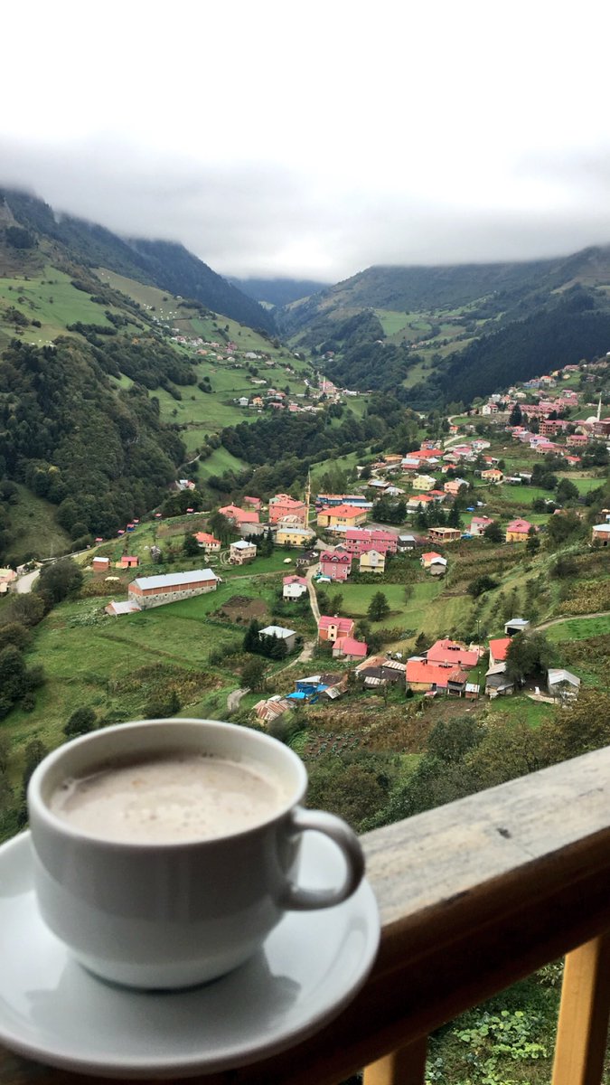 F7447's tweet image. #رايكم_بالسفر

سعاآادة ❤️