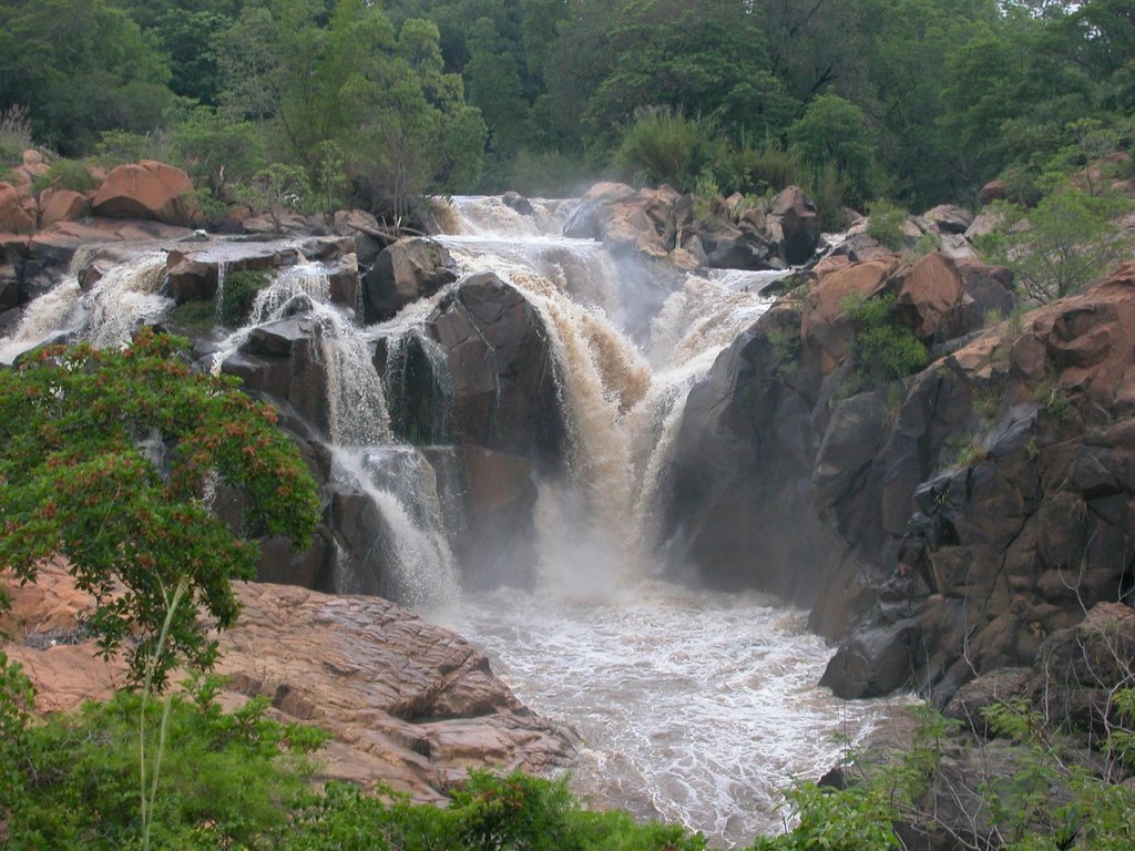 BestVisitSA's tweet photo. It is situated next to the Crocodile river in Nelspruit. Take some time off and enjoy the sound of nature over a picnic or just a walk around the garden. The Nelspruit Botanical Garden offers a restaurant and Magnificent array of nature's treasurers. #Explorbombela #ENG2604 https://t.co/4PewsFFQJy