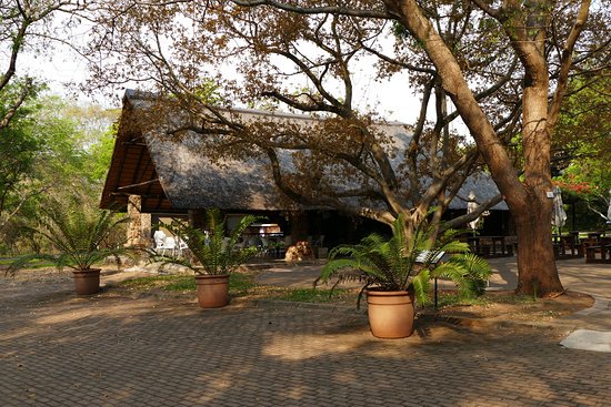 BestVisitSA's tweet photo. It is situated next to the Crocodile river in Nelspruit. Take some time off and enjoy the sound of nature over a picnic or just a walk around the garden. The Nelspruit Botanical Garden offers a restaurant and Magnificent array of nature's treasurers. #Explorbombela #ENG2604 https://t.co/4PewsFFQJy