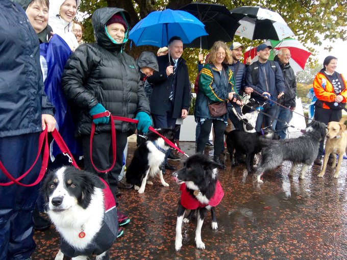 Do55QsLXsAA_Ety.jpg:small