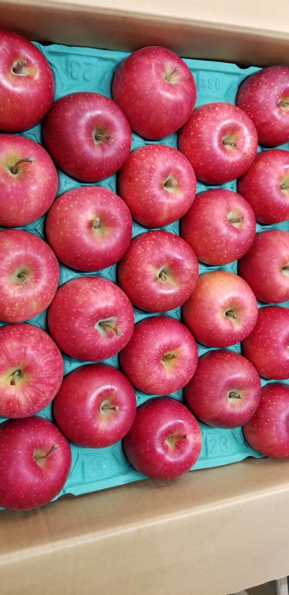 magicpman's tweet image. 秋陽って山形オリジナル品種だったのね🎵