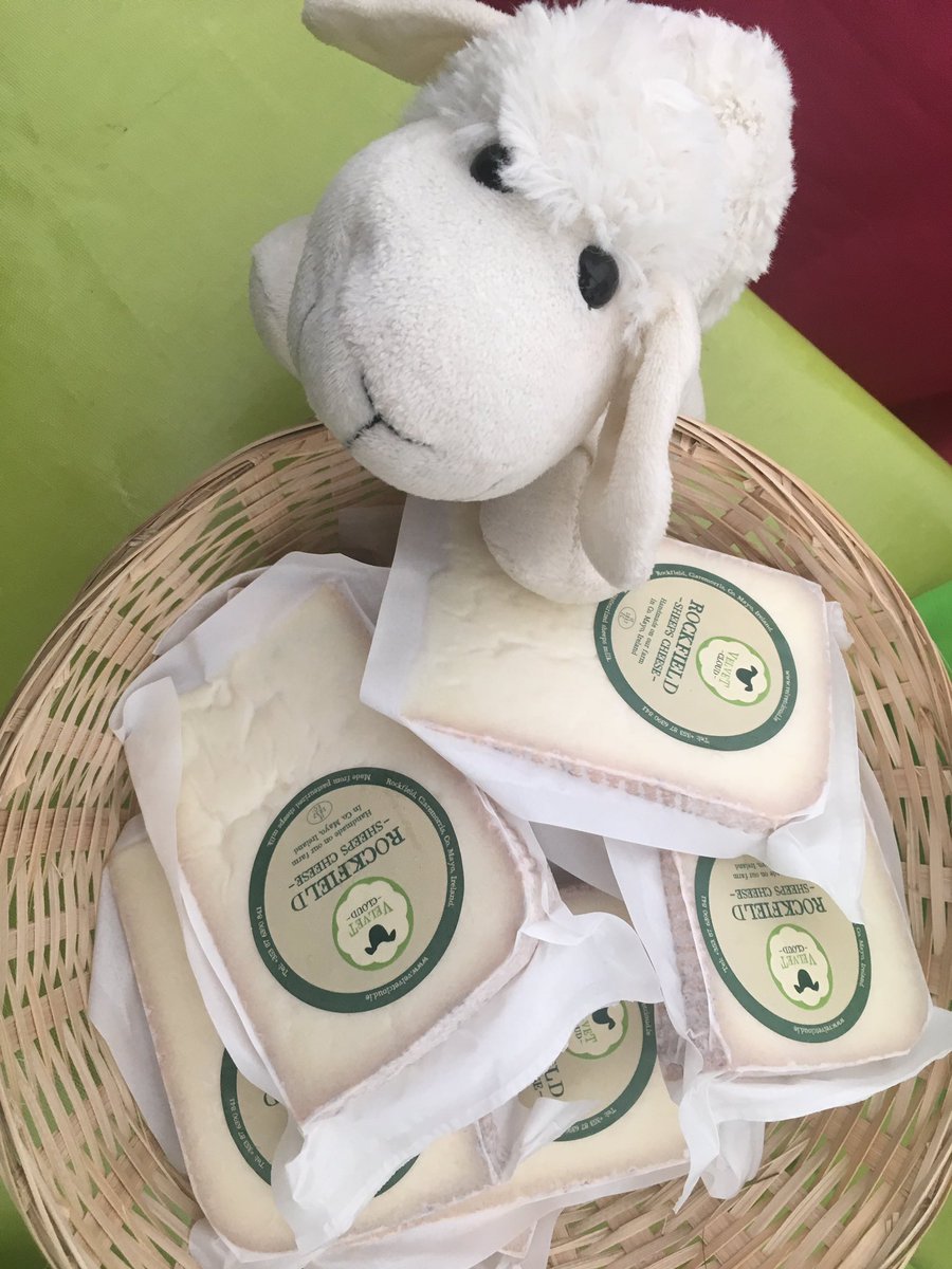 Congfoodvillage's tweet photo. Delicious @VelvetCloud_ie sheep cheese ... yum!!!!! π #congfood #congfoodfestival https://t.co/mlk3zkt5VC