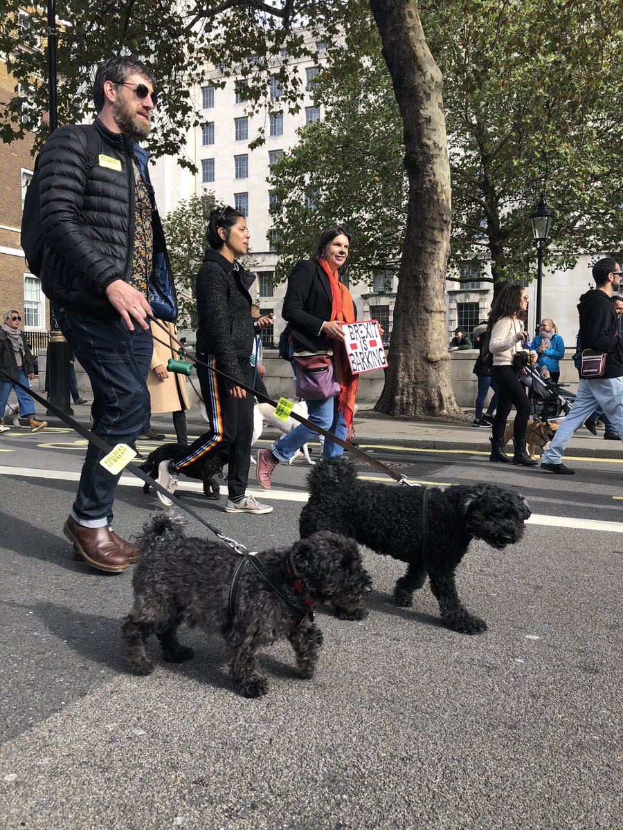 Givetash's tweet photo. #Wooferendum attracts hundreds of pups and their owners. 

Must admit this is the most adorable protest I’ve ever covered. #brexit https://t.co/qXMmDjTBHO