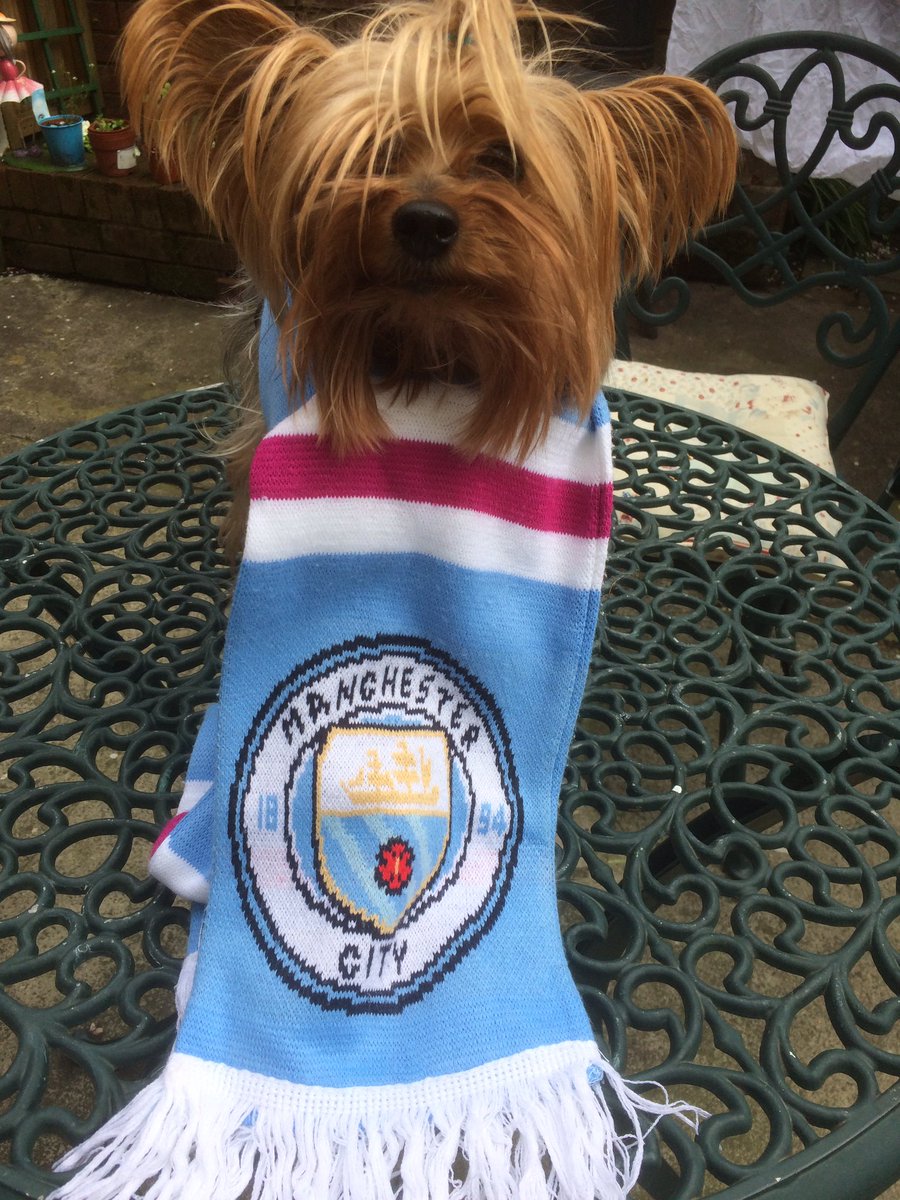 chel14262's tweet photo. Come on city https://t.co/lJ7K0OcCbh