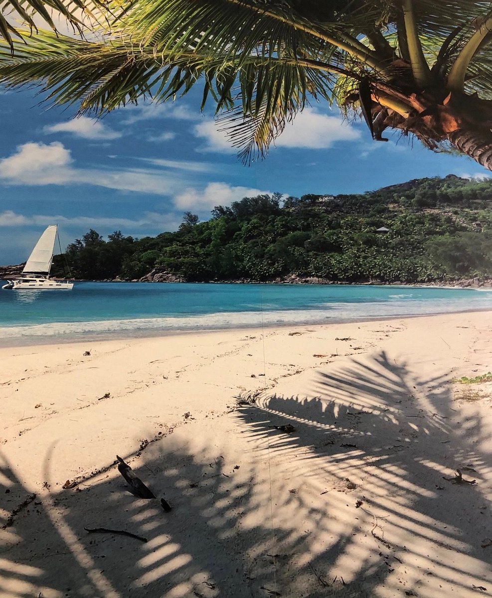 Who's missing summer already?? Here's a beach we printed! 2 panels butted together, making it 2440mm wide!😁