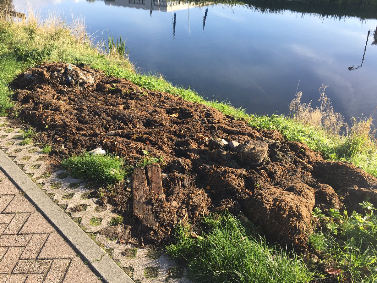 kuipers_sander's tweet photo. @gemeenteveendam hoe lang laten we dit nog liggen? Wier op het Beneden Verlaat! https://t.co/vsQ8U3a60d