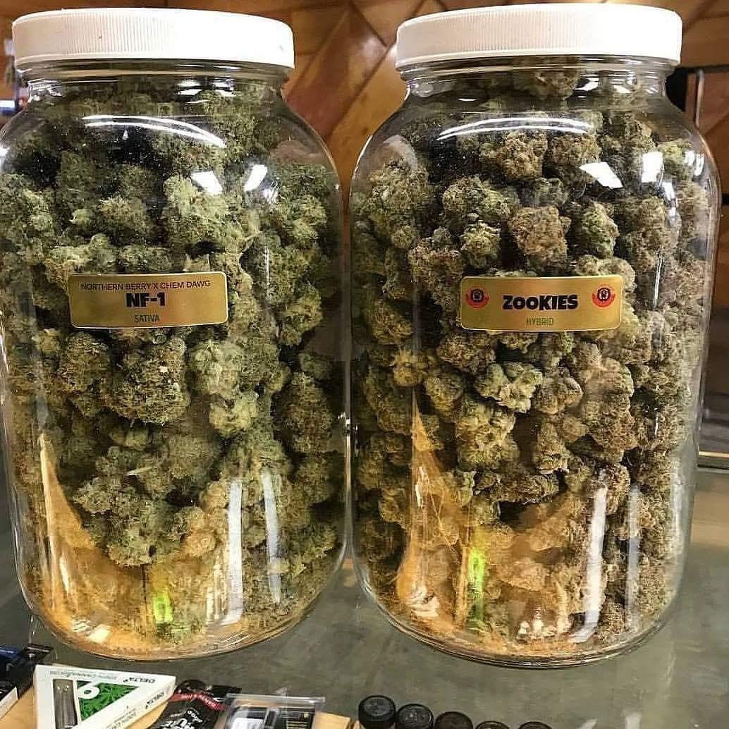 PascalRoland8's tweet image. #NewProfilePic