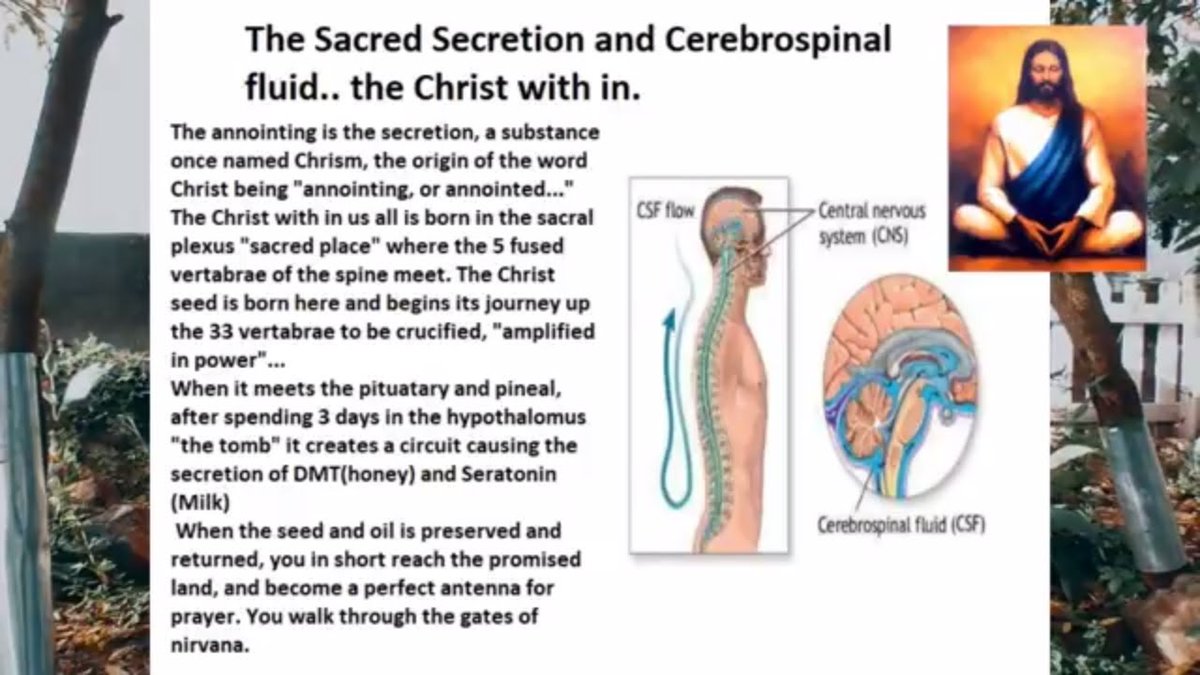 The Hidden Sun.Serotonin & Melatonin. Dimethyltryptamine.Upper Lower.