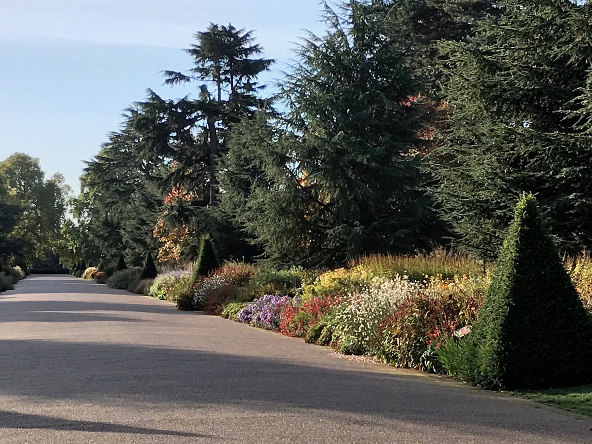 webstbarb's tweet photo. Beautiful morning ⁦@kewgardens⁩ perfect day to visit ⁦@handmadebritain⁩ at Kew https://t.co/KziLRqvBQF