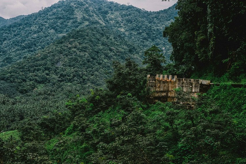 KirtiNairPhoto's tweet photo. That there, is a road. How beautiful is that?
#Kerala #keralatourism #IncredibleIndia #travel https://t.co/hyWa1Pl8ma