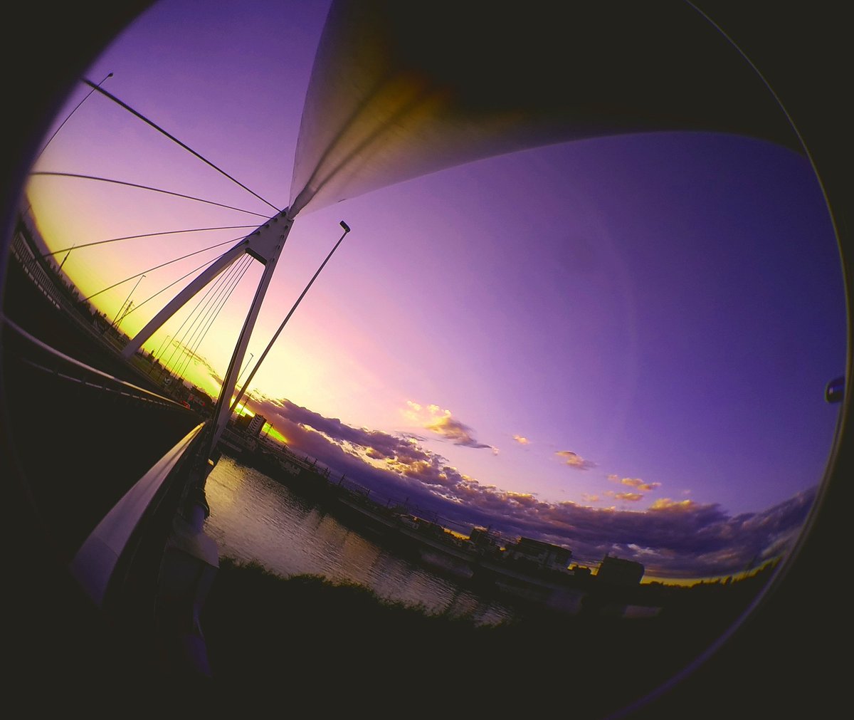 tokiiro421's tweet photo. 贈ります
#夕焼け #sunset #マジックアワー #中川 #river #riverside #nostalgia #emotional #魚眼レンズ #fishlens #goodbyeyesterday
#郁彩 #世界観 https://t.co/w1fo76IYnY