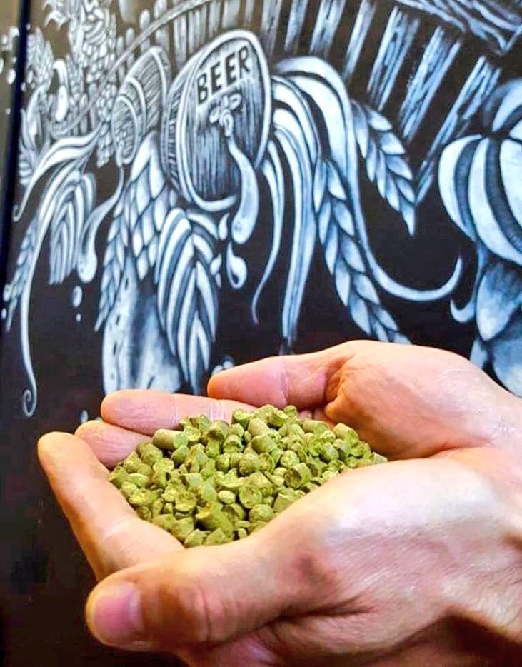 BRurale's tweet photo. #IPAisBACK come sarà?
Una IPA single hop che a ogni sua edizione proporrà, sulla base di una ricetta fissa, una varietà differente di #luppolo, rendendola sempre differente da se stessa: una #birra “nuova” a ogni sua uscita.
Ci sarà alcune volte l’anno, in fusto e in bottiglia. https://t.co/oCmKlREoPd
