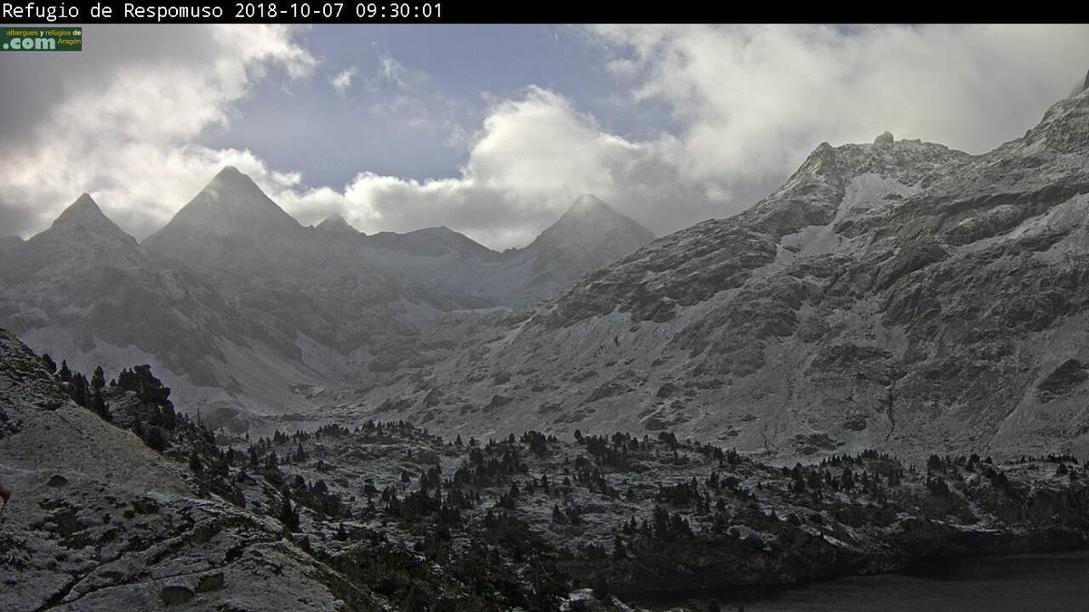 nevasport tweet media