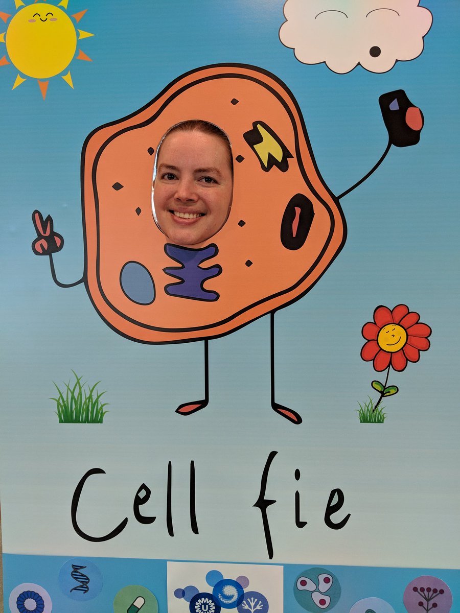 BioKali's tweet photo. #Weekendofscience #cellfie Come see us at the @_Hubrecht ! https://t.co/i956ellszD