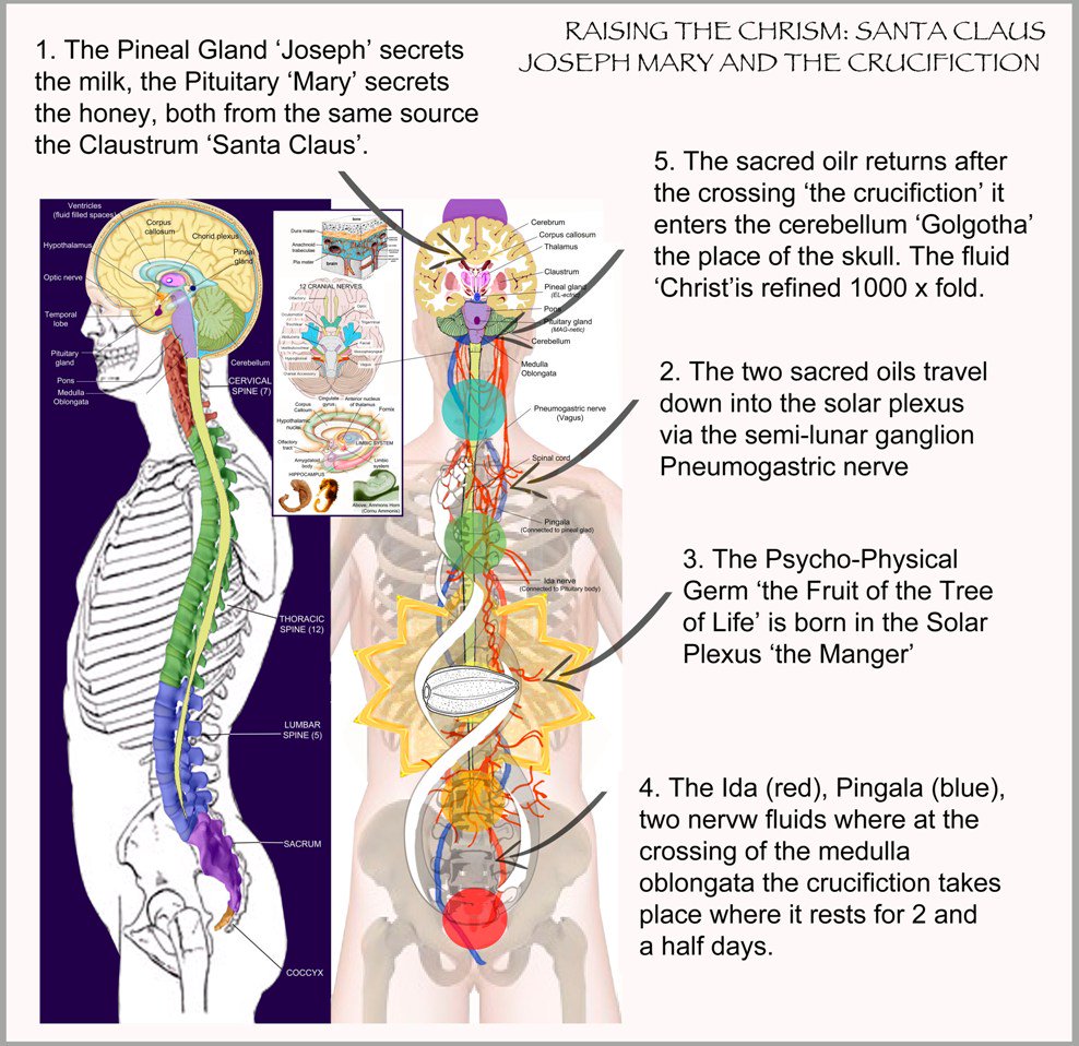 'Golgotha' Place of the skull, Krst.Red & Blue>Purple/Violet=Royalty/Anointed. #Ida &  #Pingala.