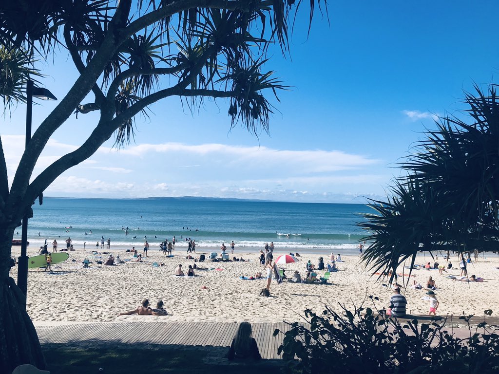 Community tweet media