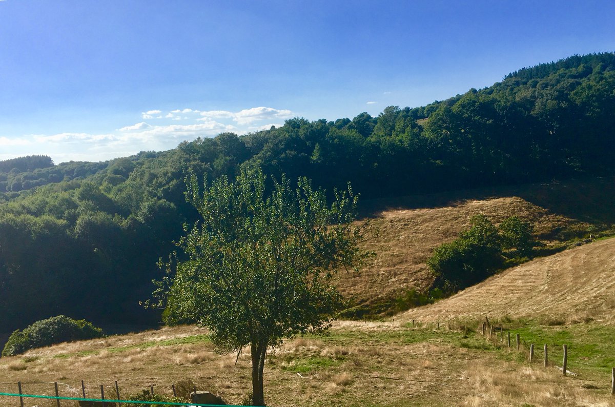 CasaMorgade's tweet photo. #Nature 🌿 #caminodesantiago #casamorgade #km100 https://t.co/GeO2hXpJaW
