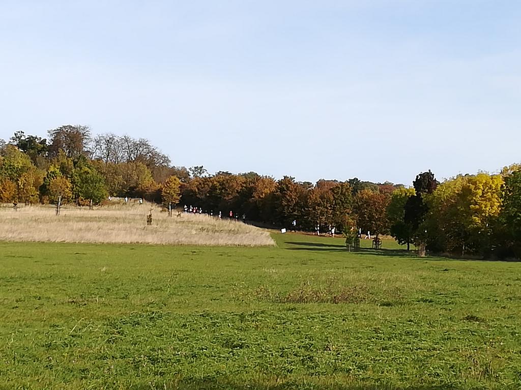 runbikerest's tweet photo. The distant sight of runners raising money for #Addenbrookes Hospital by tackling the #hoohah at #wimpolehall in #cambridgeshire. #act #act4addenbrookes https://t.co/ExbUX0fU2V