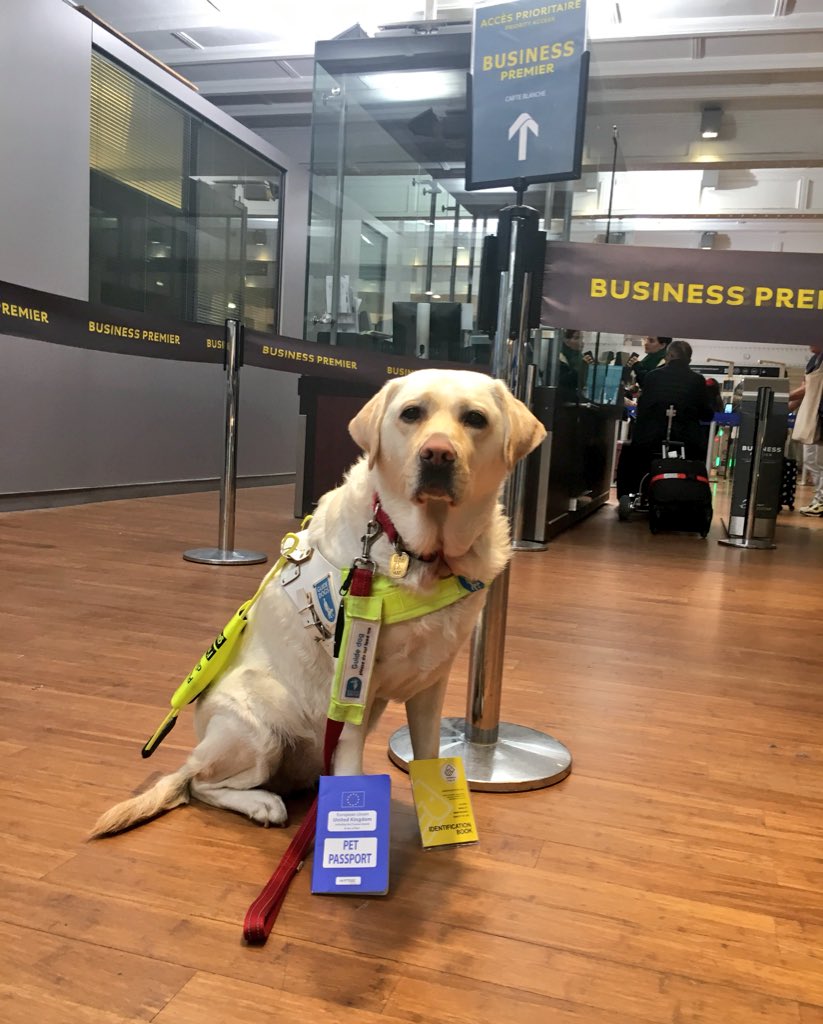 Without my #PetPassport I wouldn’t be able to do my job when Dad travels. #Brexit put this &amp; my health at risk b/c of vets leaving the U.K., likely restrictions &amp; changes to animal medicine &amp; food imports, with much higher prices too. Join me for the <a href="/wooferendum/">Wooferendum</a> today! 🐶🌍🐾