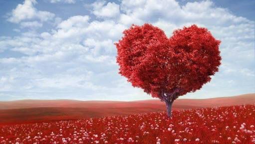 BincangSyariah's tweet photo. Romantisme Rasulullah saw. bersama Aisyah r.a. https://t.co/8rDRS0bYDb https://t.co/am82YhRaGe