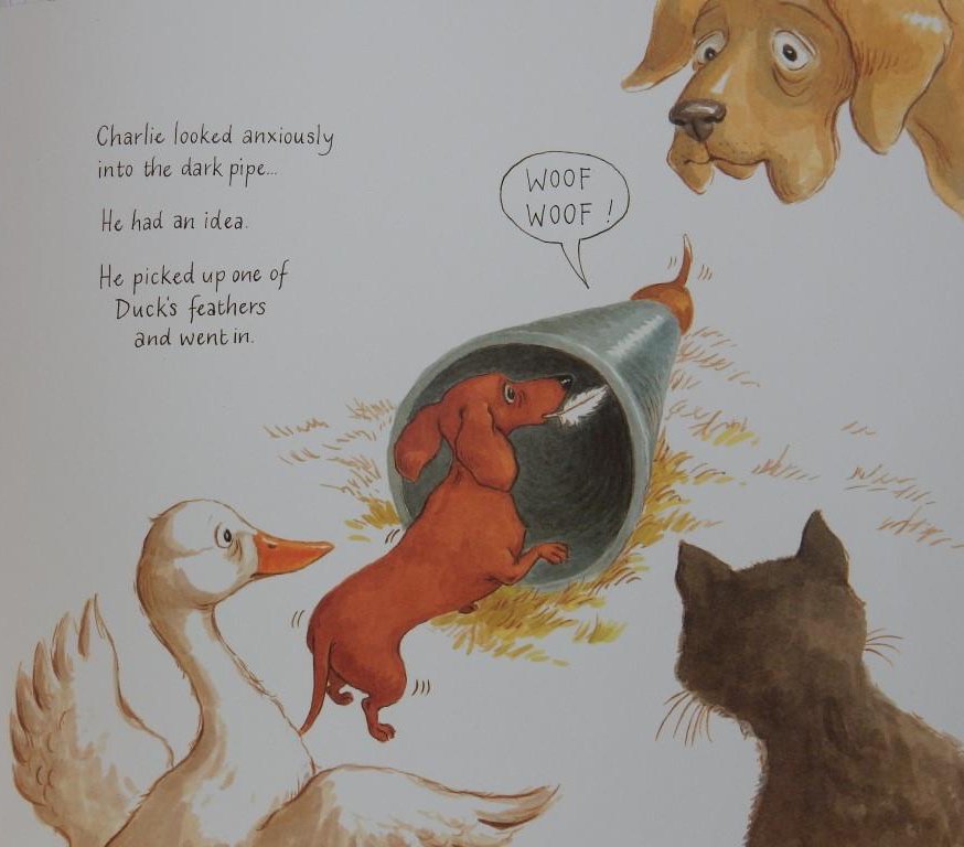 JillBennett18's tweet photo. For routine bound #CharlieStar, an emergency shows him that sometimes change can be a very good thing; His story by #TerryMilne from @oldbarnbooks is reviewed on #RedReadingHub now #2018picturebooks 👍🏽🐕 https://t.co/RjZVmWZnSl https://t.co/h4vbt1Ie9Q