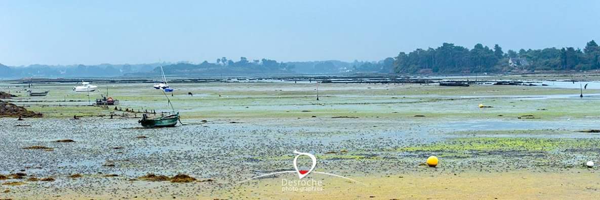 DesrochePhoto's tweet photo. #RiadEtel #SainteHelene vue sur Saint-Cado, peu avant le passage du grain du matin. Grain du matin, pas chagrin ;)
#photo #photographie #photography #foto #Bretagne #BZH #Morbihan #Breizh #bzhPower #miamorbihan #MagnifiqueBretagne @MorbihanTourism https://t.co/A3pc8tv493