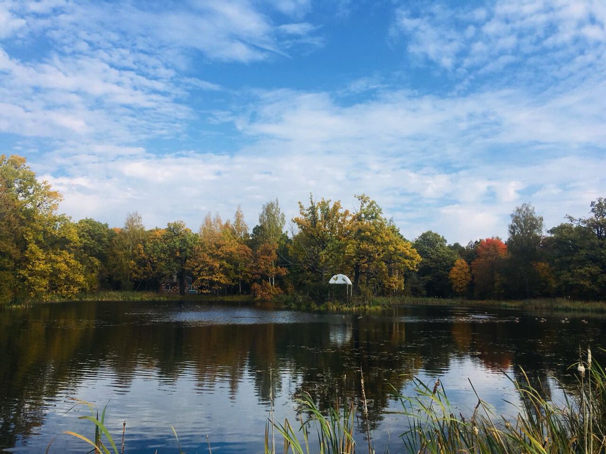 Примите чувства совершеннейшего уважения,Милостивый Государь,от вашего покорнейшего А.Грибоедова..... #грибоедов #письма #цитата #президент #мазарович #деньрождение #лекторий #Khmelita_clob