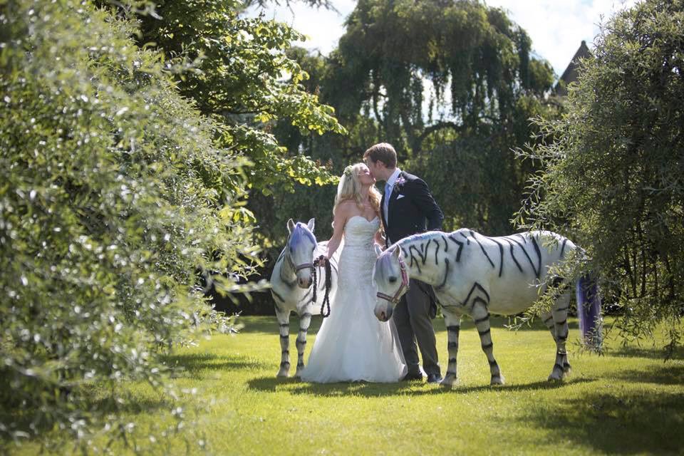 bigdayinabox's tweet photo. Throwback to one of my favourite weddings this year - love it when a client says they have a dream of creating the extraordinary 🦓 https://t.co/JcOf708g0l