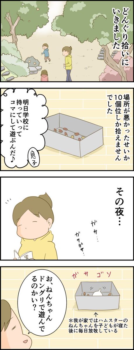 続きはブログへどうぞ 天使な小悪魔たち : ドングリ泥棒にあう… https://t.co/wlZfYarkf5 