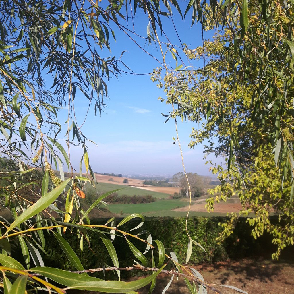 SportCycling_b's tweet photo. 🍁🍁Monferrato view🍂🍂
#autumn🍁 #rain #turin #walking #outside #outsidefree #picture #instagram #istantphoto #istantlife #picoftheday #istantpic #follow4follow #followme #2k17 #colours #piedmont #mirror #passion #mypassion #photography #photo #photooftheday #monferrato #autunno https://t.co/uY9rflD0nT