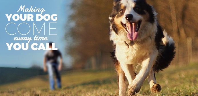 DogsZoom's tweet image. In this article, I will speak about training a dog to come with the best tips from dog experts.Having a trained and obedient pet means that you can enjoy the time you spend with him without feeling frustrated. Link below
dogszoom.com/amazing-facts-…
#dogs #dogsarefamily #DogTraining