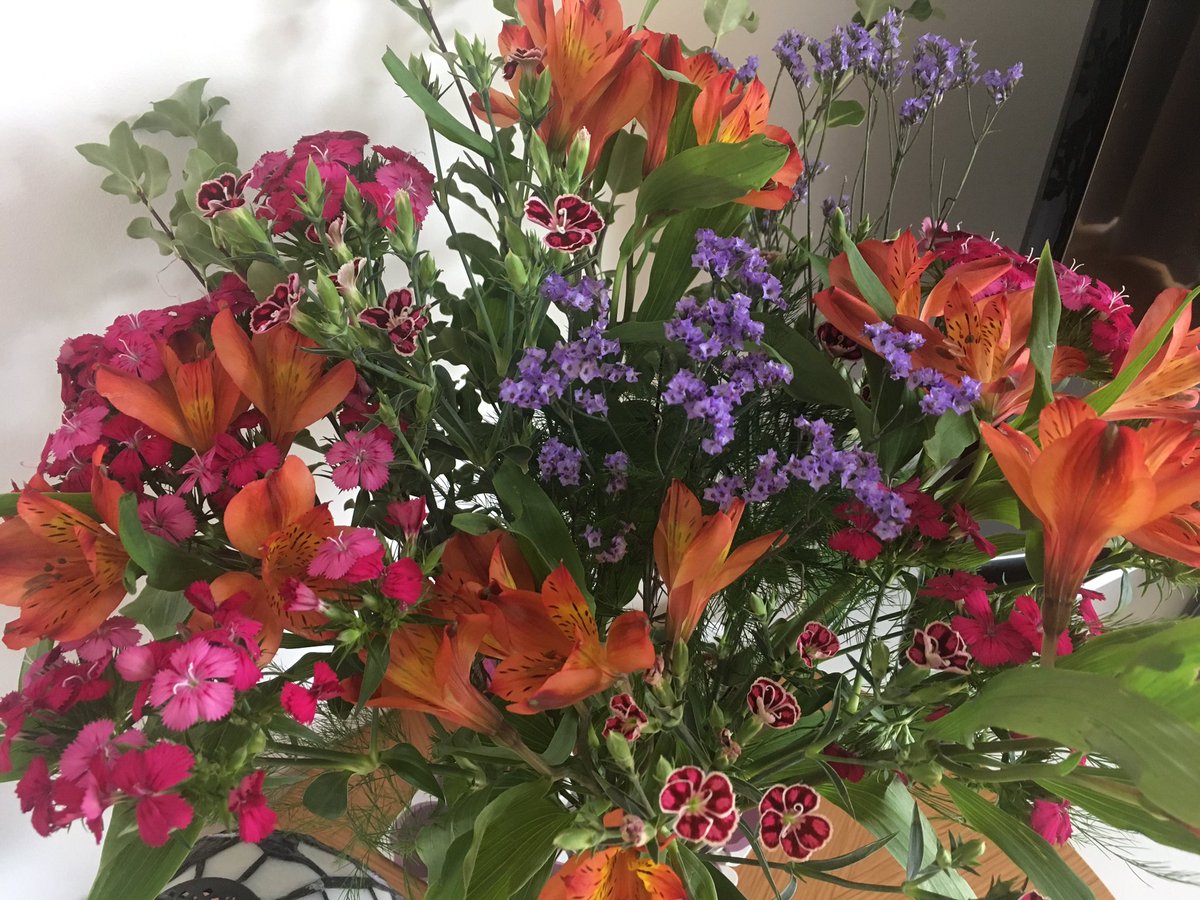 sj_fuller's tweet photo. These... @BloomandWild #beautiful #mademyday #friendsthatdonttweet Thank you! 😊💐 https://t.co/gHltN02aMI