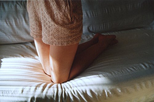 ꒰ หวายมีแมวชื่อแบบี๋ ·˚ ༘ tweet media