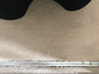 Robert Beckwith tweet media