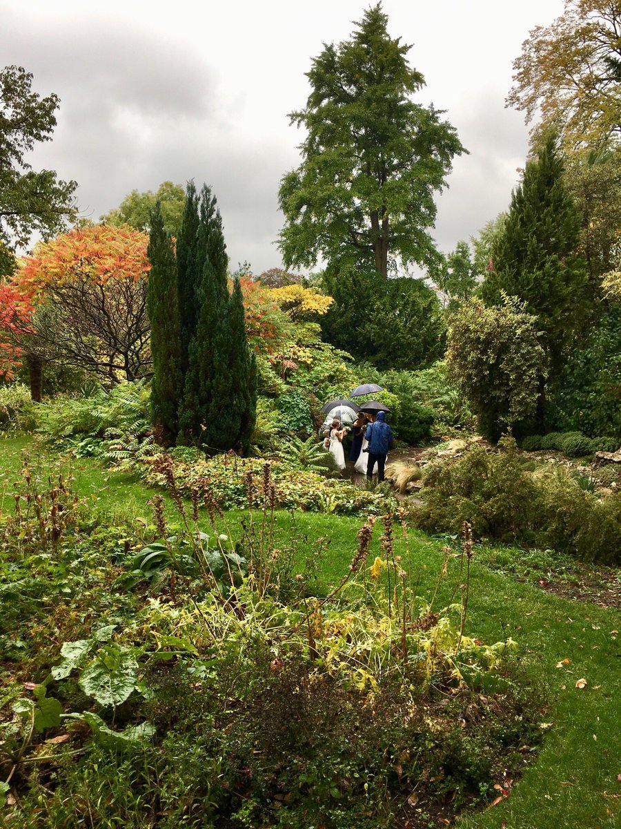 Parksweddings's tweet photo. Even in the rain the Botanical Gardens create a beautiful backdrop for your special day #autumn #parkweddings #caprimarquee #autumncolours #autumnwedding #heritageparkweddings https://t.co/BSH0BZyUnA