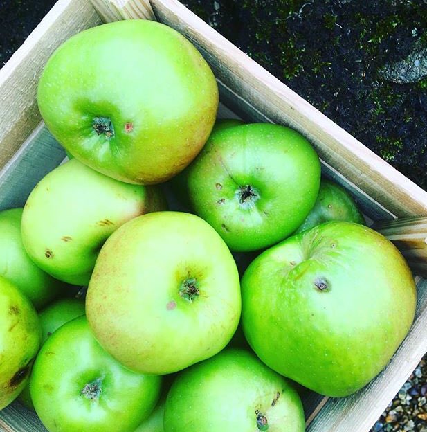 We love this pic from our neighbours @CobbleKitchen who are using some apples from our family home in their delicious baking this week. Hope everyone is enjoying this lovely Autumnal weekend. #autumn #harvest #familybusiness #yorkshiredales #businnesssupportingbusiness