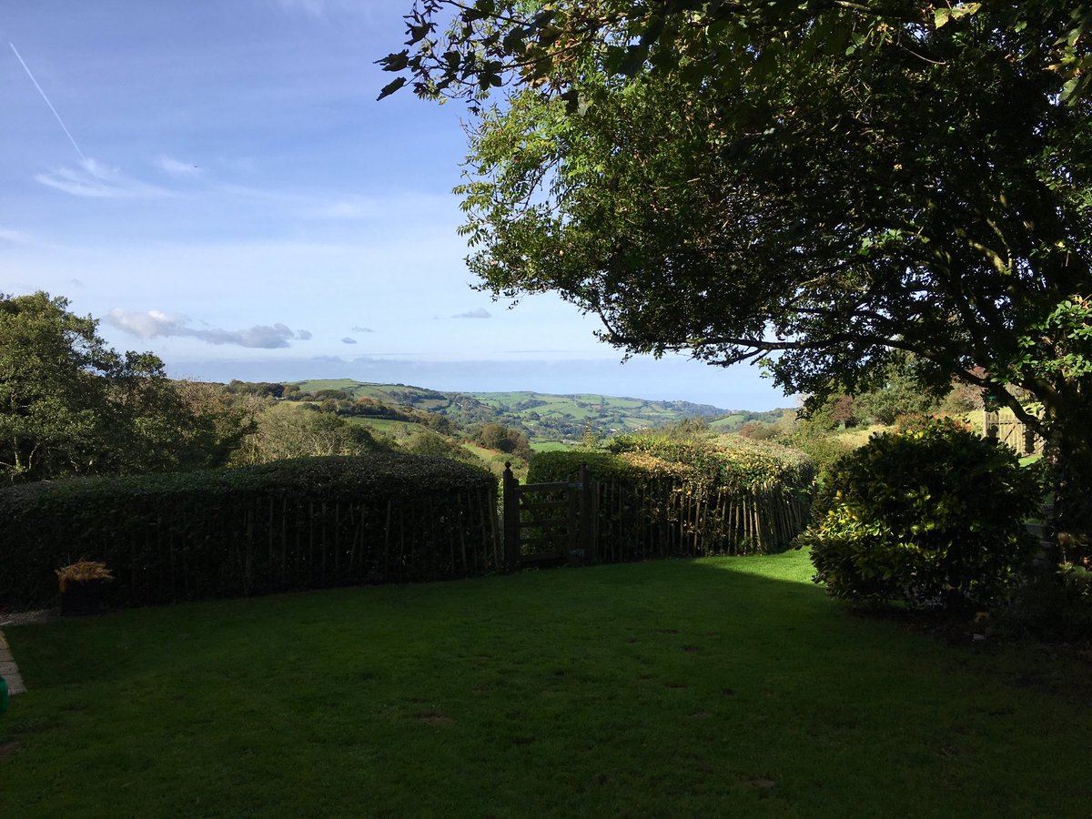 Hedges looking good. Happy Sunday !