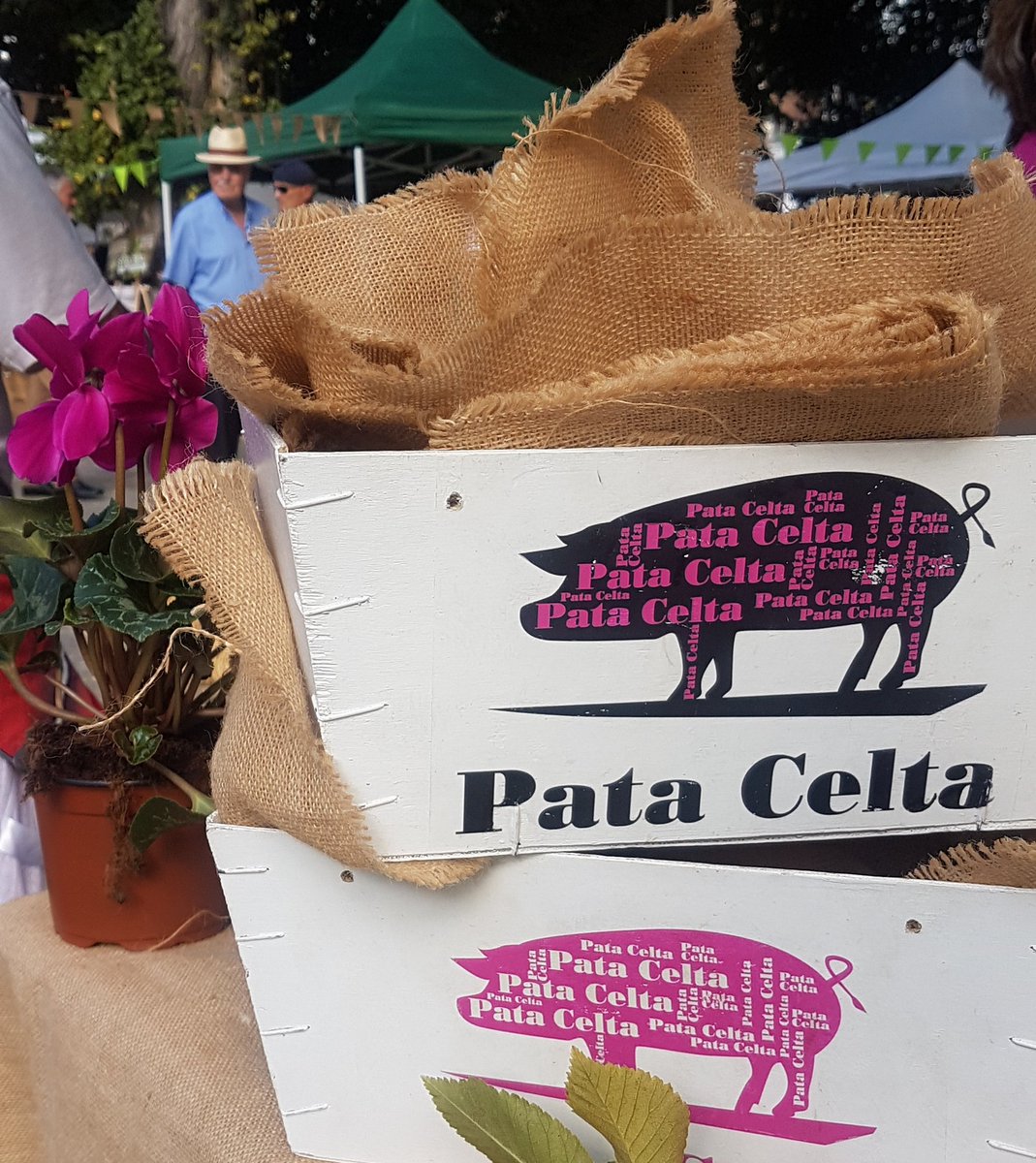 verdecubico's tweet photo. @patacelta chega co seu #porcocelta 🐷 ó #MercadoEcolóxico da #Coruña 🌱☘! Bo ambiente no arranque do domingo...

#domingueros #opatanegragalego #oinkfeliz #galiciamola #galiciacalidade #productosproximidad https://t.co/9xcKqC530c