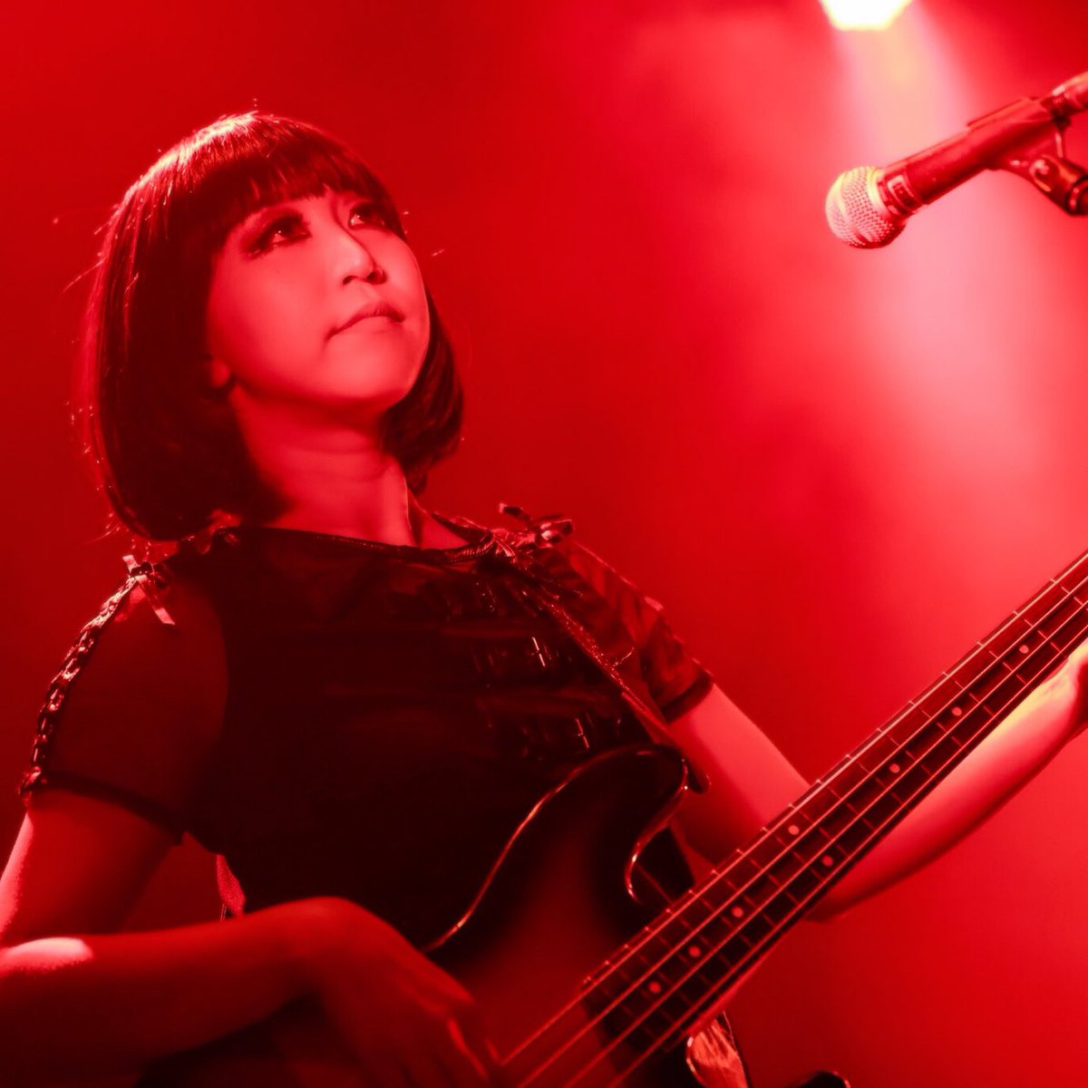 マリアンヌ東雲 Sns離れが叫ばれる今 敢えてジュリエッタ霧島のツイッターアカウントが本日より始動致しましたので皆様何卒ご贔屓に Kirishima Bass