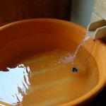 ツイートに含まれる画像