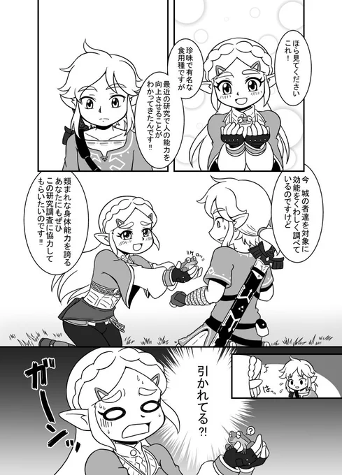 近衛騎士に密かに想いをよせる姫と、それにまったく気づいていない鈍感近衛騎士のお話。
#ゼルダの伝説ブレスオブザワイルド 