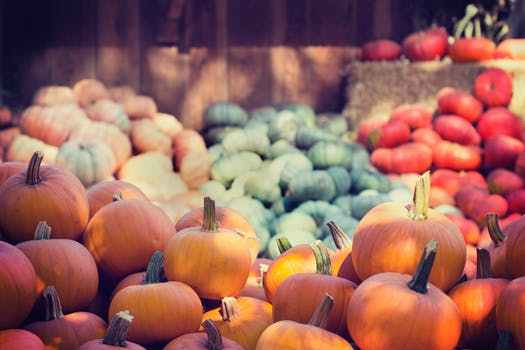 chetempochefame's tweet photo. Insalata di zucca cruda https://t.co/wj7jgp47sZ https://t.co/U4wmQm0L59