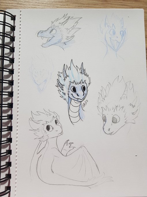 i stan dragons i cant draw #theDragonPrince 
