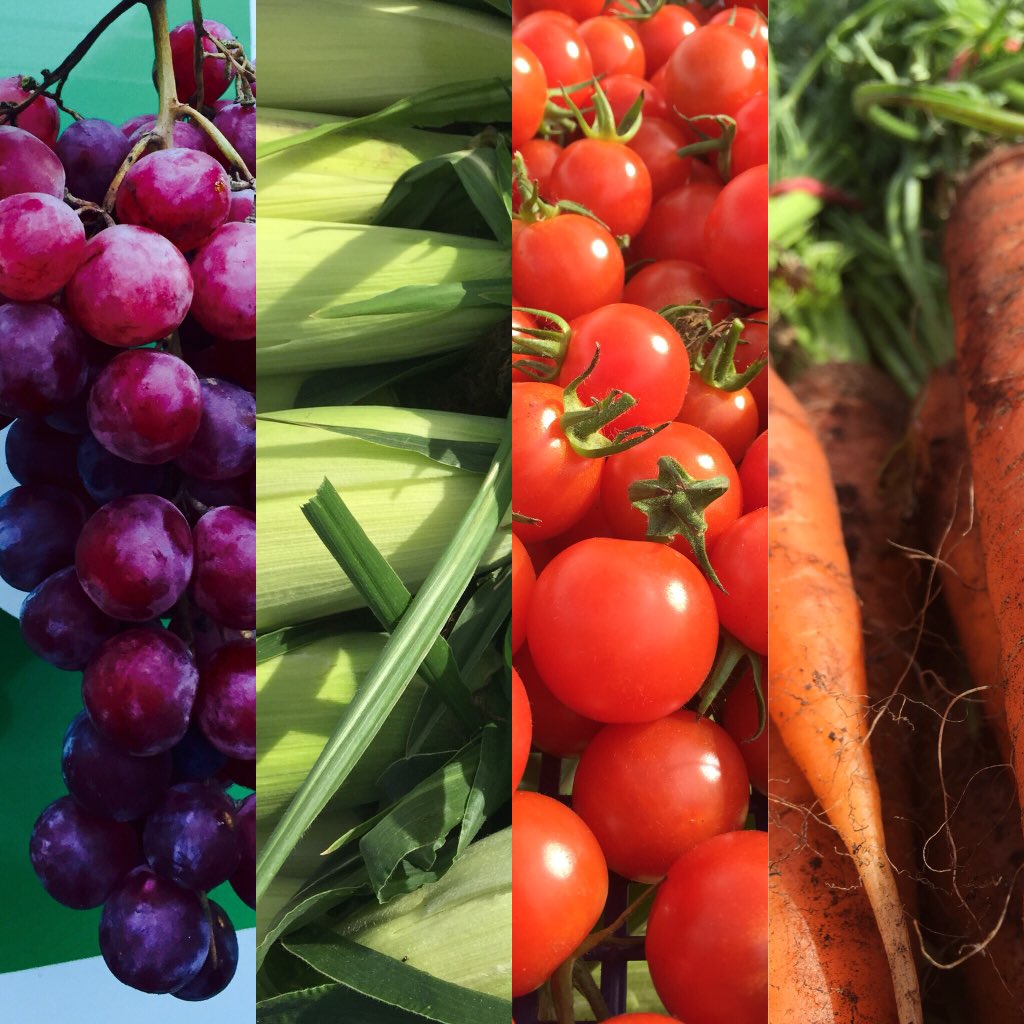 Here’s a hint of some of the lovely veg coming in for our #vegboxes this week, with grapes and carrots from Lyncroft Farm, corn from Royal Oak and tomatoes from Libby Flintoff. All grown #organically in #Lancashire within 50miles of #Manchester