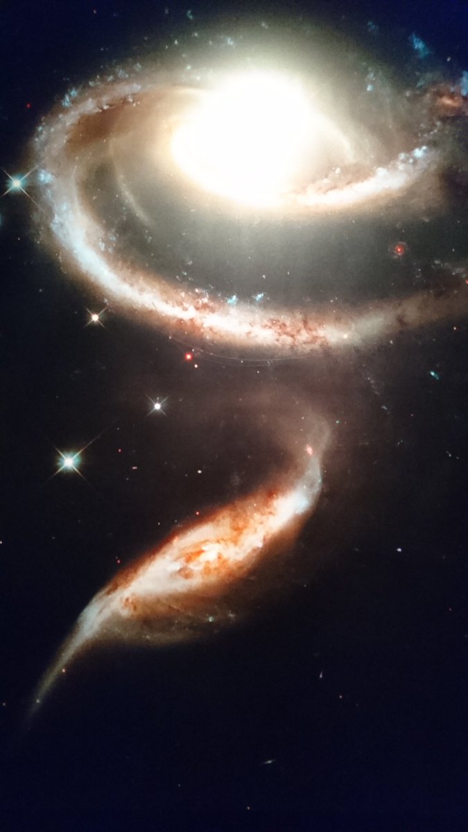 Directpalais On Twitter Fds2018 La Galerie De L