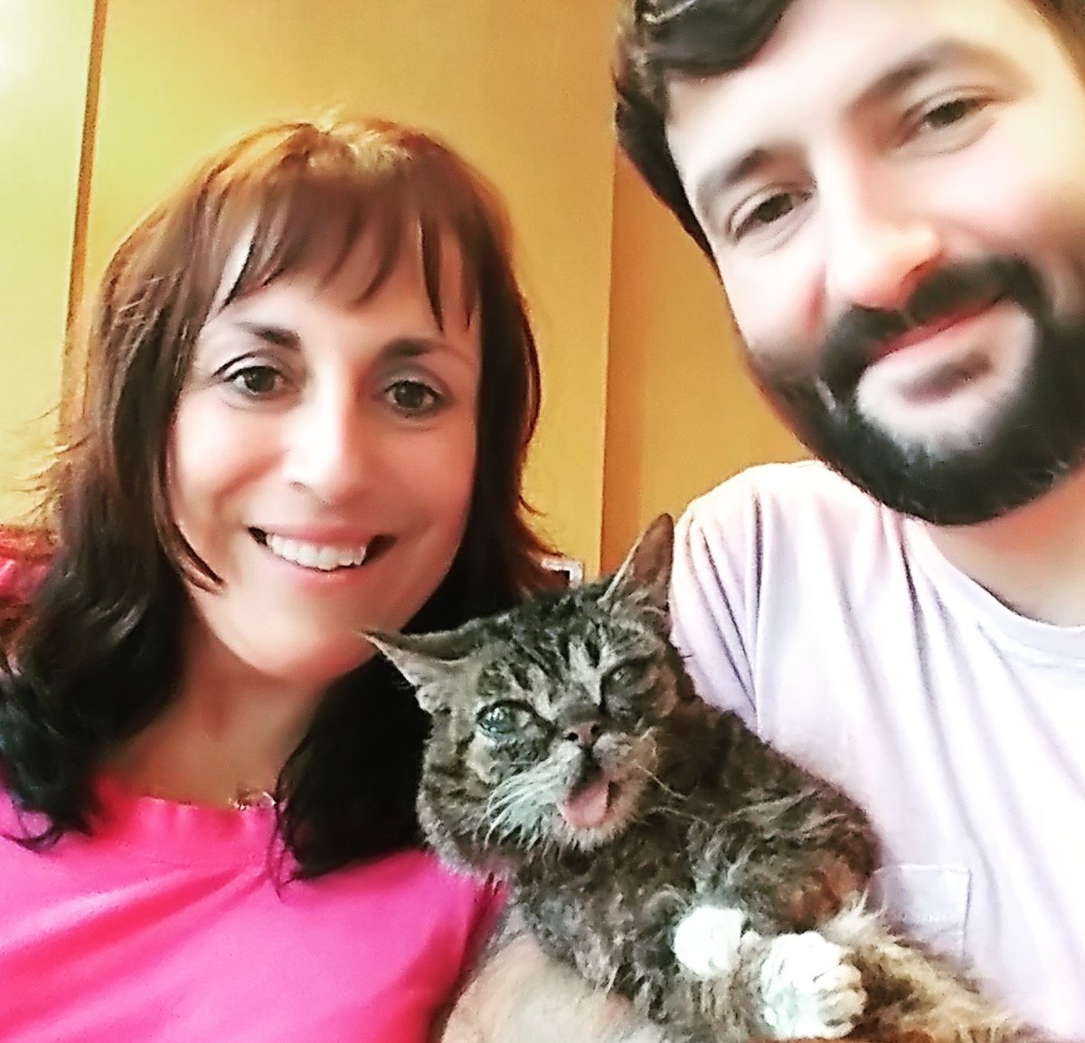 HouseofMews's tweet photo. What a great day.... I got to meet Lil Bub. #lilbub https://t.co/SoklryC8aL